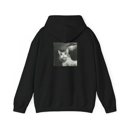 UFO cat2