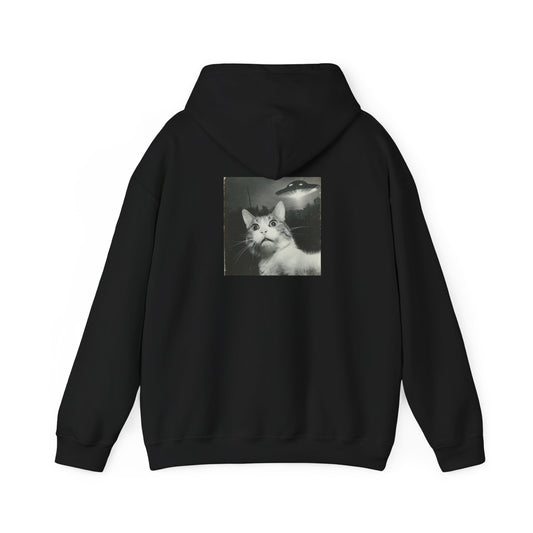 UFO cat2