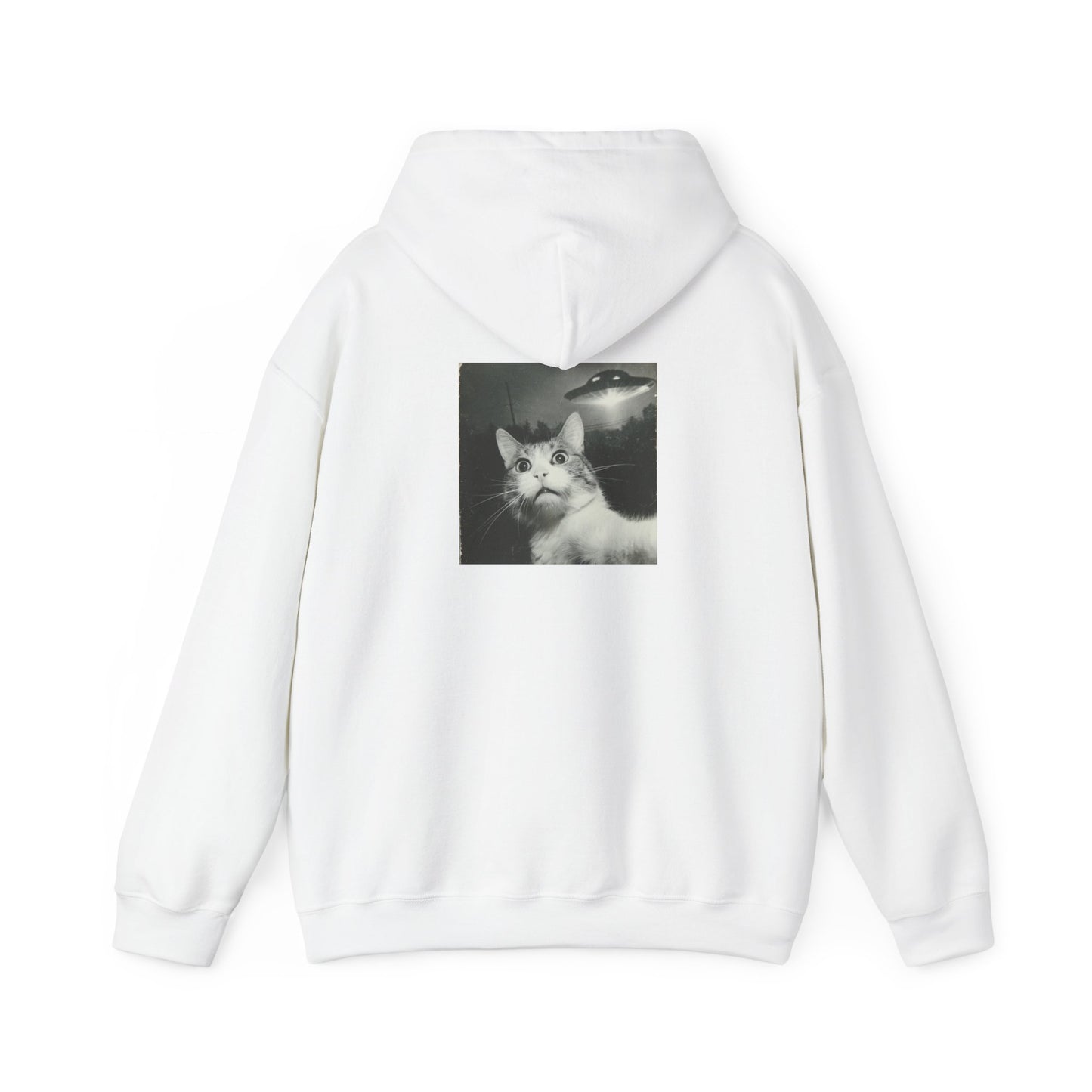 UFO cat2