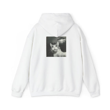 UFO cat2