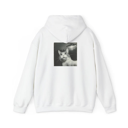 UFO cat2