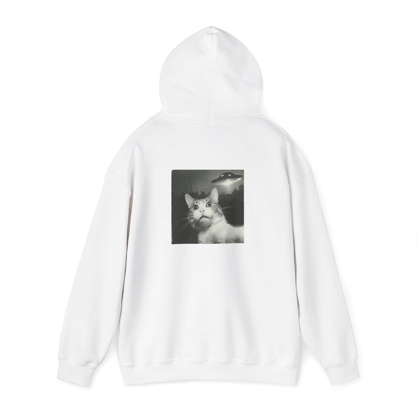 UFO cat2