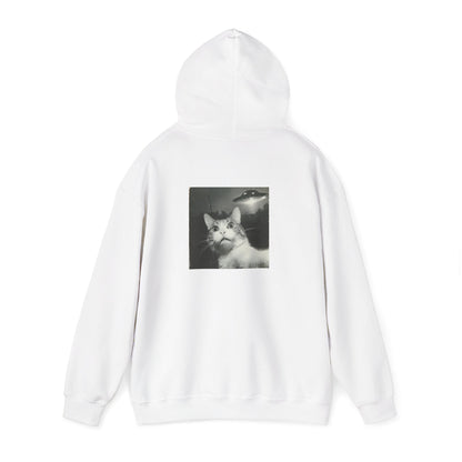 UFO cat2