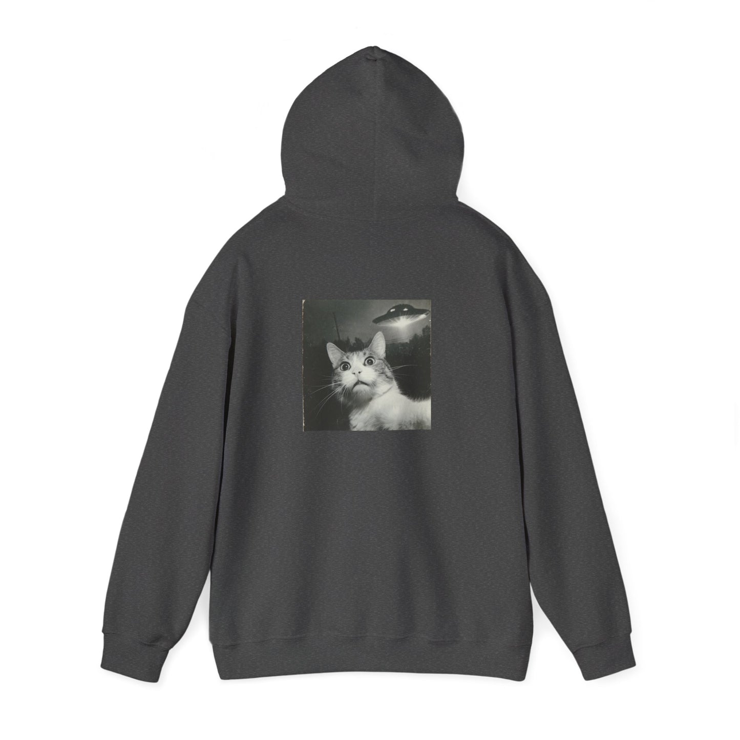 UFO cat2