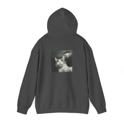 UFO cat2