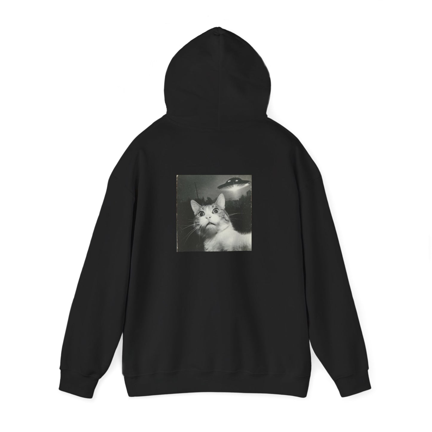 UFO cat2